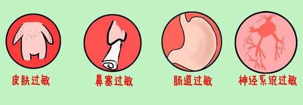 吃芹菜過敏癥狀及處理方法