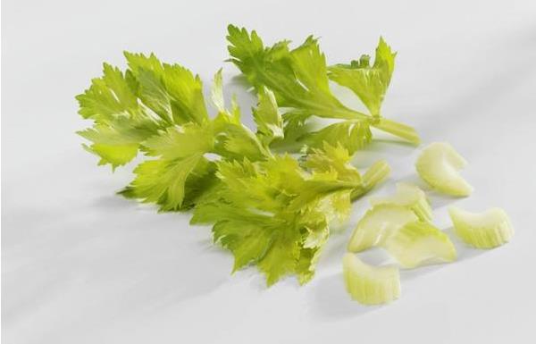 芹菜葉子能吃嗎