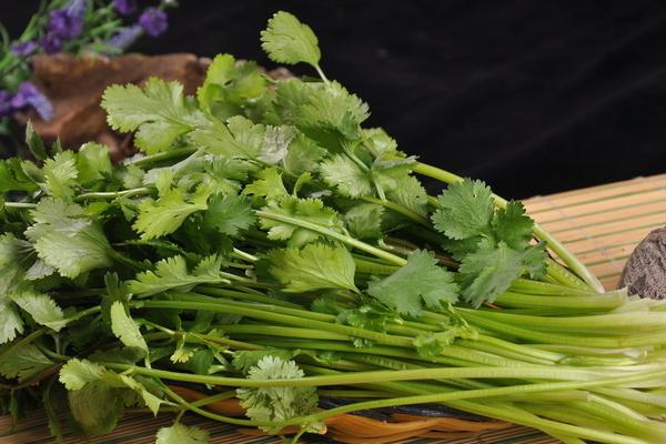 香菜市場價格多少錢一斤