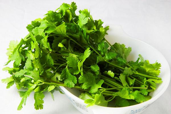 香菜市場(chǎng)價(jià)格多少錢一斤