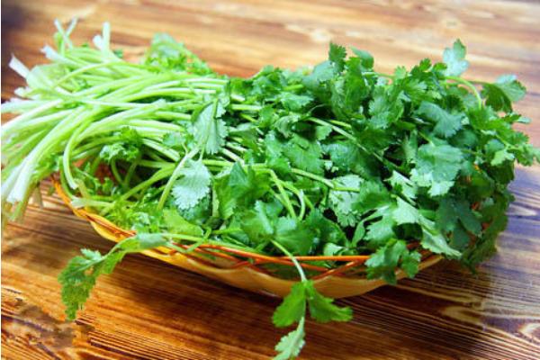 香菜市場(chǎng)價(jià)格多少錢一斤