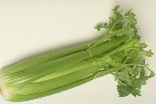 芹菜的功效與作用禁忌 芹菜營(yíng)養(yǎng)價(jià)值