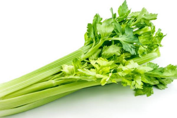 芹菜圖片大全 芹菜簡(jiǎn)介