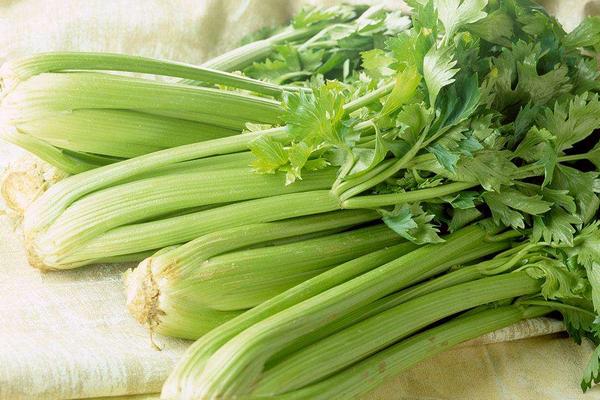 芹菜降血壓嗎 芹菜怎么吃降血壓最好