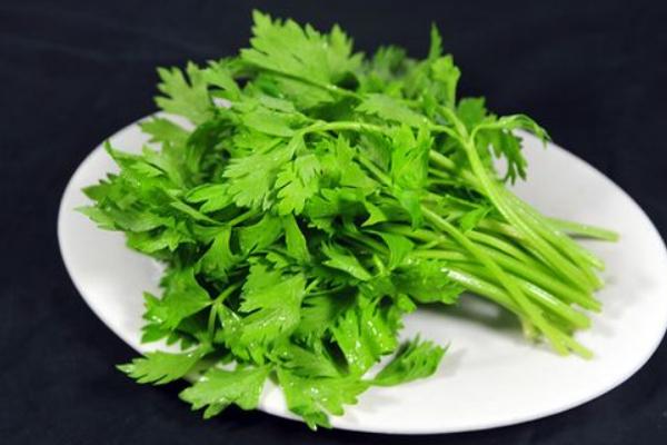 芹菜和洋蔥能一起炒嗎