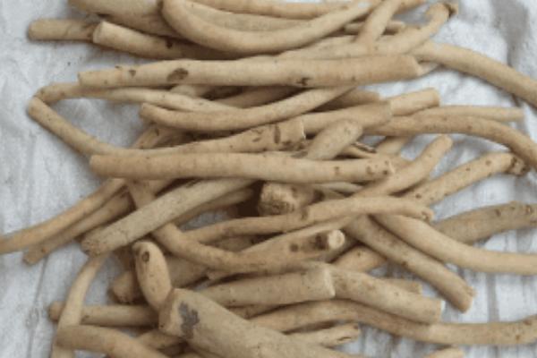 白芍產地在哪里 白芍畝產多少