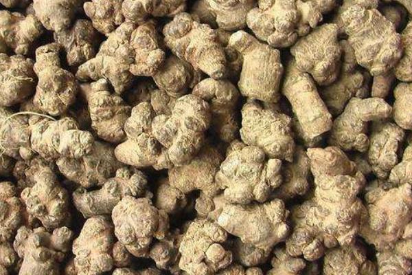 三七粉的功效與作用及禁忌