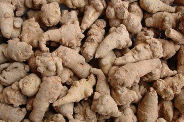 三七市場價格多少錢一斤