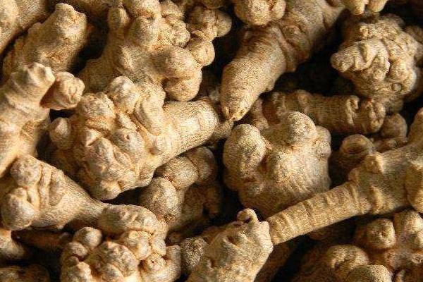 三七市場價格多少錢一斤