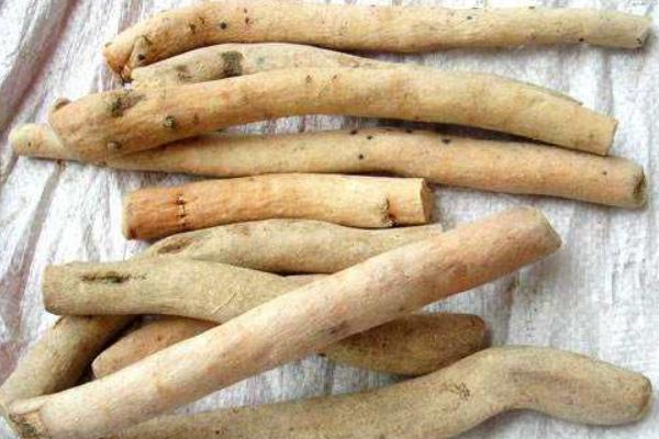 白芍圖片大全 白芍簡介