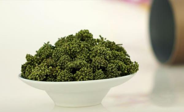 三七花的功效與作用及禁忌