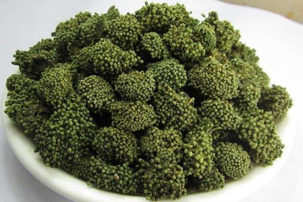 三七花的功效與作用及禁忌