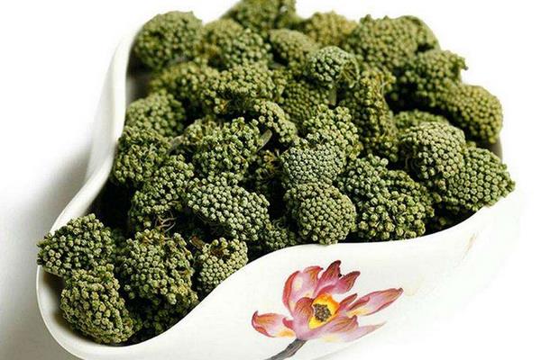 三七花的功效與作用及禁忌