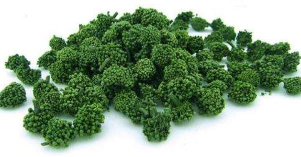 三七花的功效與作用及禁忌