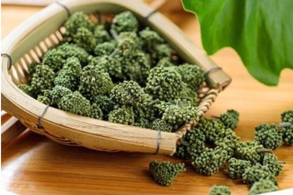 三七花的功效與作用及禁忌