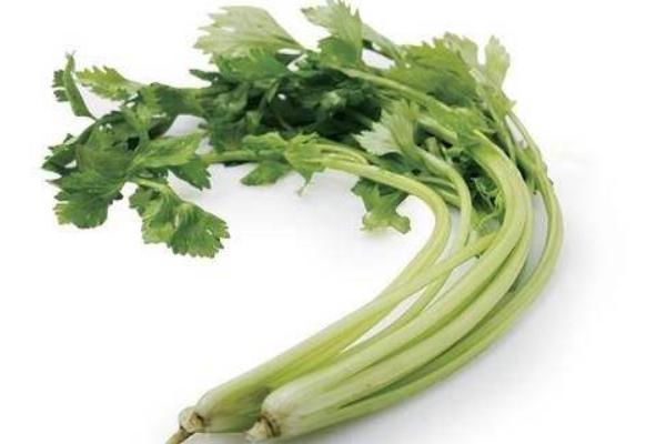 西芹和芹菜哪個(gè)營養(yǎng)好
