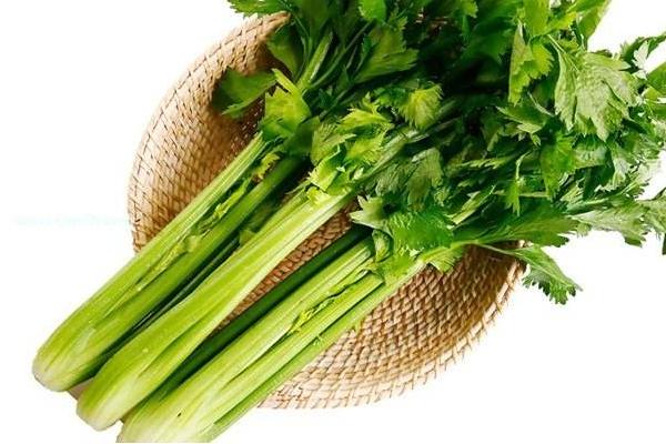 西芹和芹菜哪個(gè)營養(yǎng)好