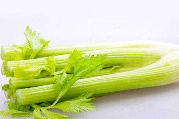 西芹和芹菜哪個(gè)營養(yǎng)好