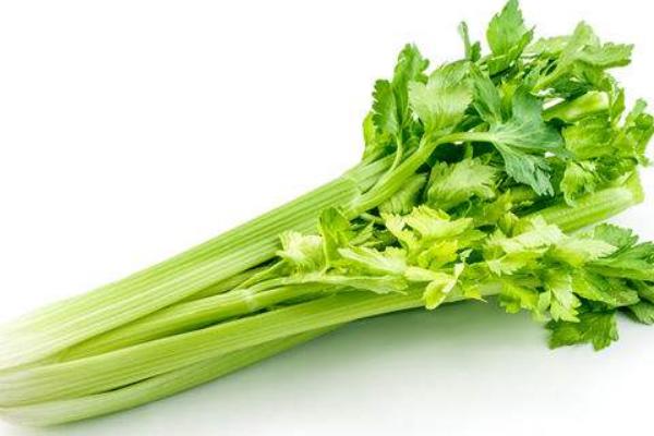 西芹和芹菜哪個(gè)營養(yǎng)好