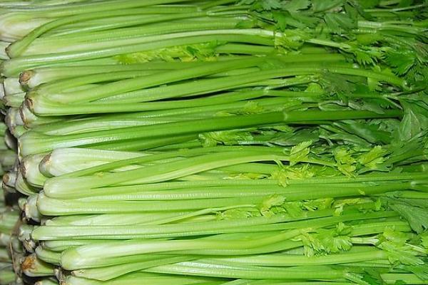 西芹和芹菜哪個(gè)營養(yǎng)好