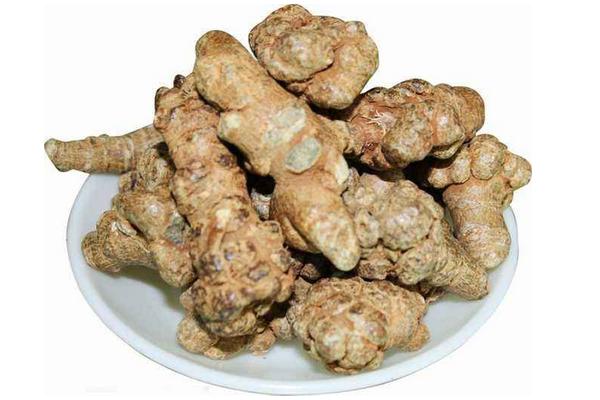 三七的功效與作用及禁忌