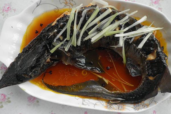 鱘魚的營養(yǎng)價值及功效與作用 鱘魚怎么挑 鱘魚食用方法及做法