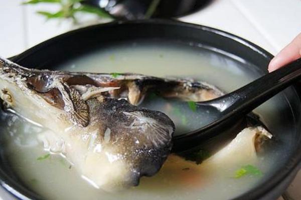 鱘魚的營養(yǎng)價值及功效與作用 鱘魚怎么挑 鱘魚食用方法及做法