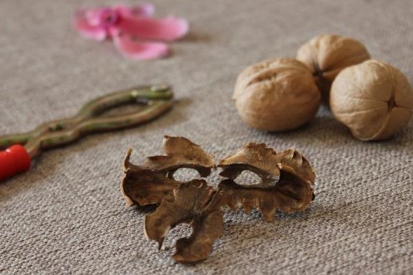 核桃分心木補腎嗎 核桃分心木治療失眠嗎