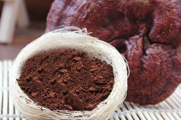 靈芝種子價格多少錢一斤 靈芝種子的品種