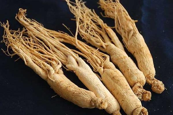 西洋參有幾個品種 如何選購西洋參