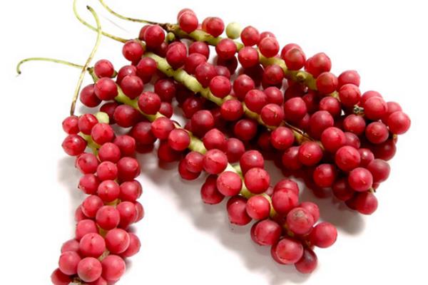 五味子圖片大全 五味子是什么東西-