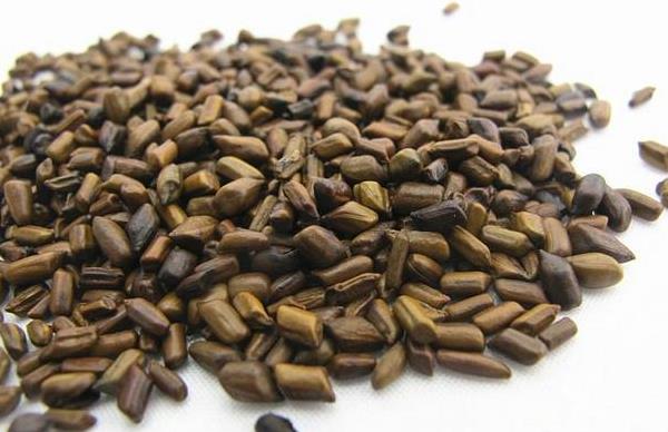 草決明是決明子嗎 決明子的功效