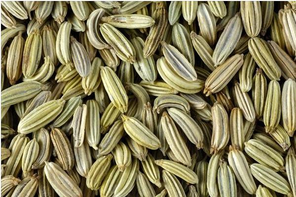 小茴香和茴香的區別是什么  小茴香和孜然的區別