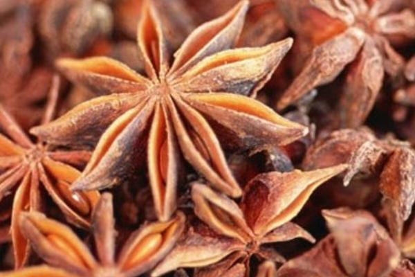 小茴香和茴香的區別是什么 小茴香和孜然的區別