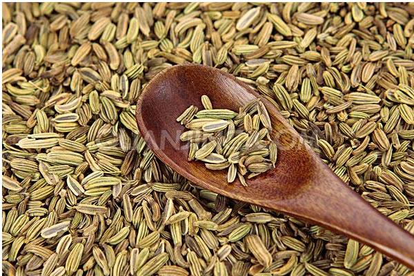 小茴香和茴香的區別是什么 小茴香和孜然的區別