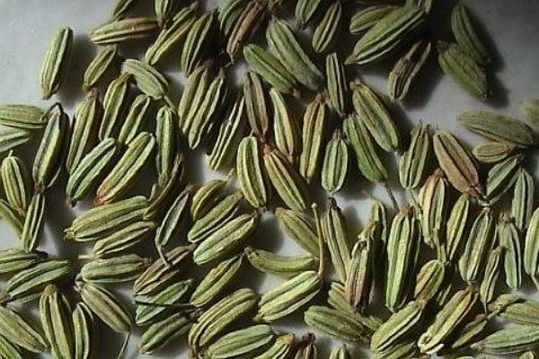 小茴香和茴香的區別是什么 小茴香和孜然的區別