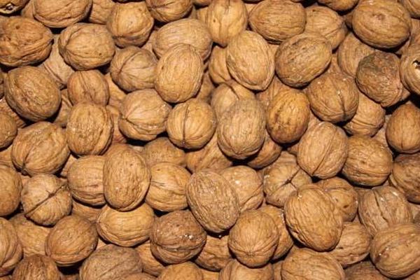 核桃仁的功效與作用及食用方法 核桃仁可以打豆?jié){嗎