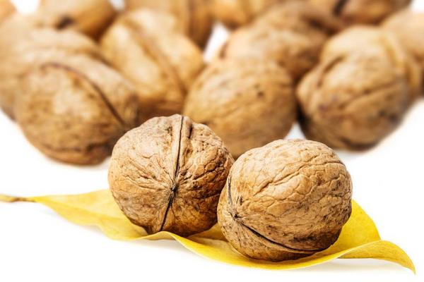 核桃市場價格多少錢一斤 核桃的營養價值