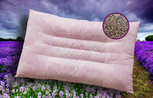 決明子枕頭會長蟲嗎 小孩睡決明子枕頭好嗎 決明子枕頭可以水洗嗎