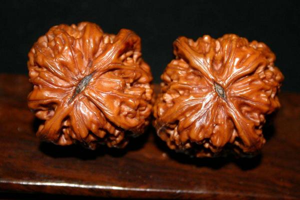 文玩核桃市場價格多少錢一對 什么是文玩核桃