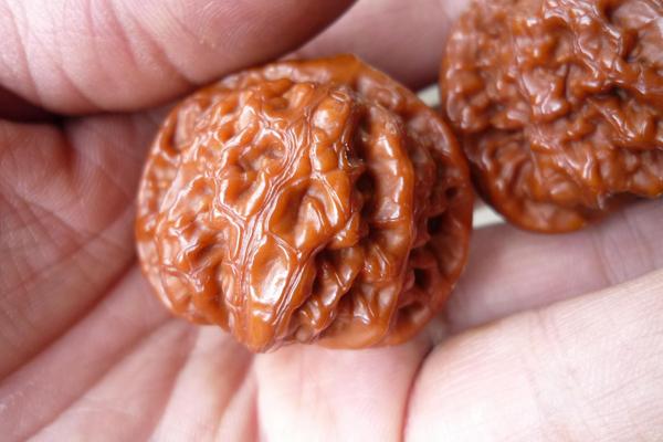 文玩核桃市場價格多少錢一對 什么是文玩核桃