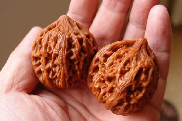 文玩核桃市場價格多少錢一對 什么是文玩核桃