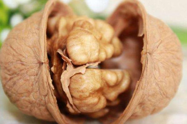 紙皮核桃哪里產的最好 紙皮核桃產地