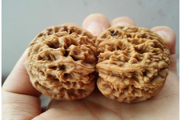 麻核桃市場價格多少錢一斤  麻核桃是用來干什么的