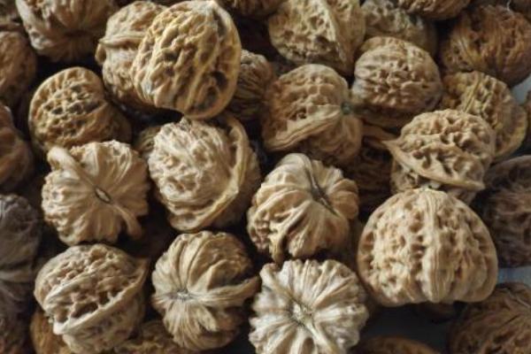 麻核桃市場價格多少錢一斤 麻核桃是用來干什么的