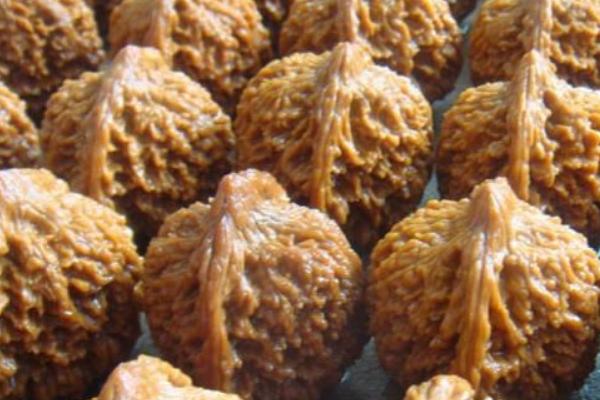 麻核桃市場價格多少錢一斤 麻核桃是用來干什么的