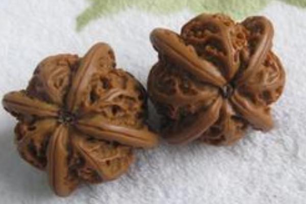 麻核桃市場價格多少錢一斤 麻核桃是用來干什么的