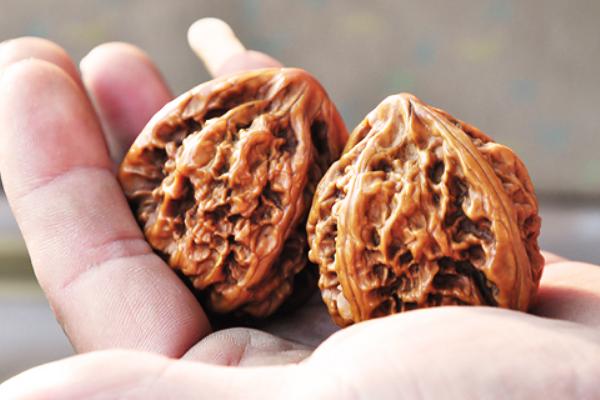 麻核桃市場價格多少錢一斤 麻核桃是用來干什么的