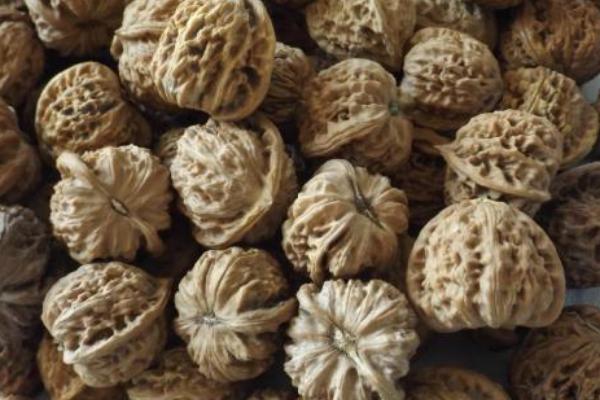 麻核桃市場價格多少錢一斤 麻核桃是用來干什么的