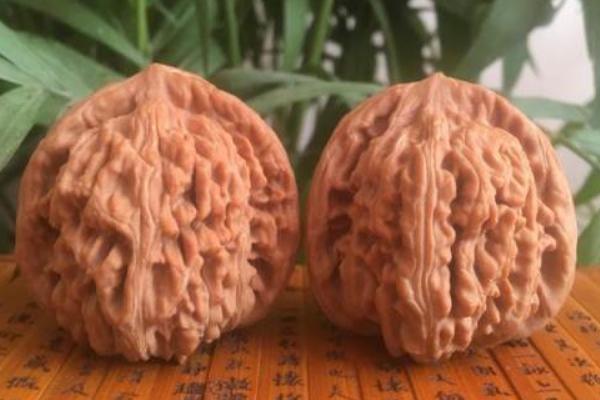 麻核桃市場價格多少錢一斤 麻核桃是用來干什么的